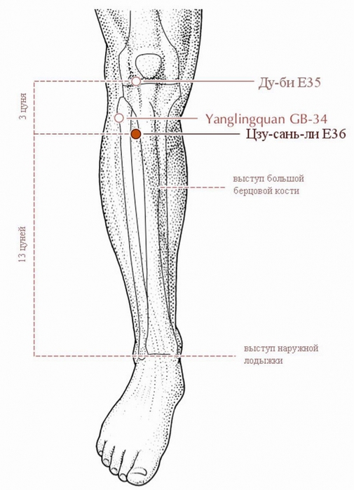 2835299_Izmenenie_razmera_Tochka_dolgoletiya__ot_sta_boleznei (505x700, 158Kb)