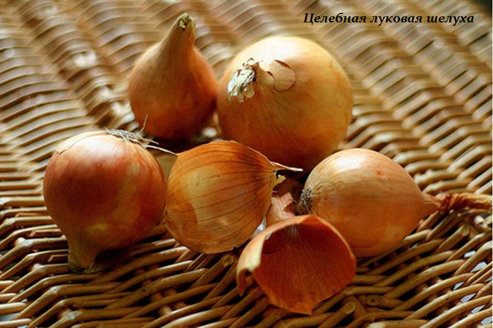1435679410_Celebnaya_lukovaya_sheluha (699x465, 536Kb)