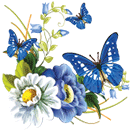 bluebutterflies_by_kmygraphic-d77004p (130x130, 219Kb)