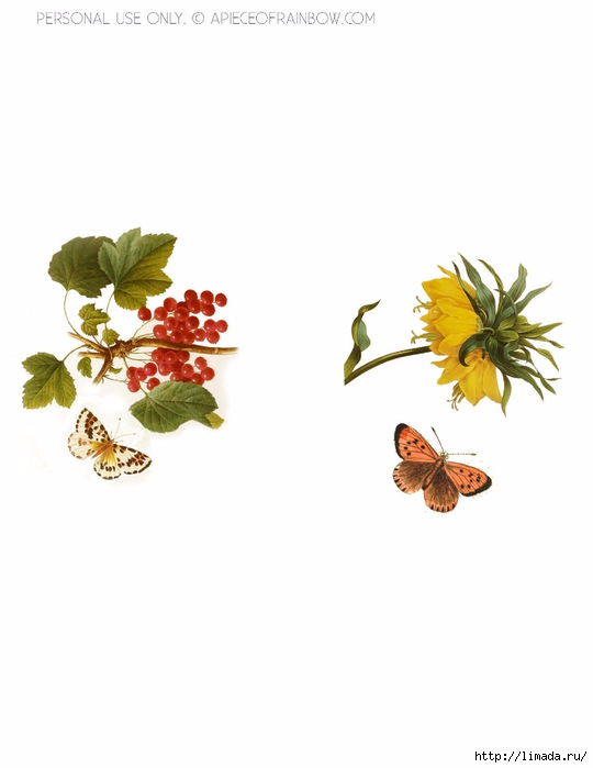 z-vintage-flower-butterfly-candle-holder-apieceofrainbowblog  (1) (540x700, 89Kb)