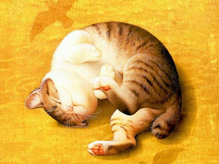 Очаровательные кошки Makoto Muramatsu 4 (700x525, 352Kb)