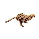 5495565_6c17f38febff (128x128, 7Kb)