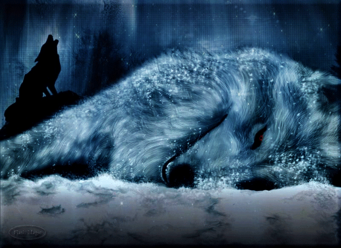 волк-и-волчица (690x503, 2427Kb)
