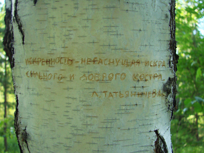 1415502_Iskrennost_negasnyshaya_iskra (700x525, 303Kb)