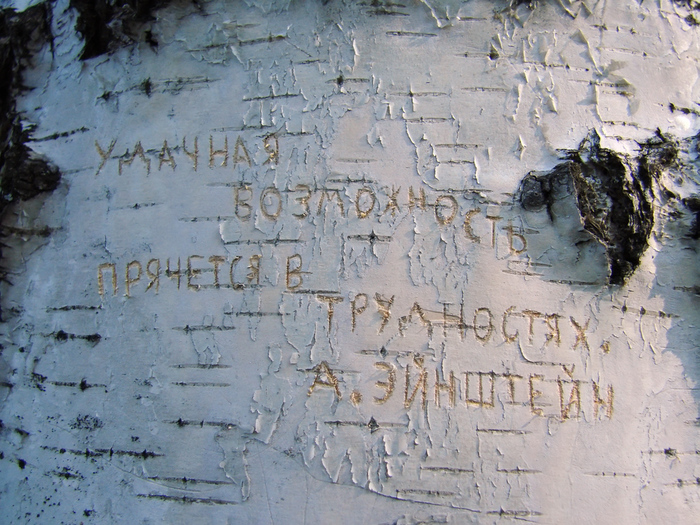 1415502_Ydachnaya_vozmojnost_prchetsya_v_trydnostyah (700x525, 279Kb)