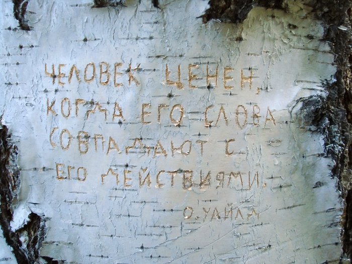 1415502_Chelovek_cenen_kogda_ego_slova (700x525, 282Kb)