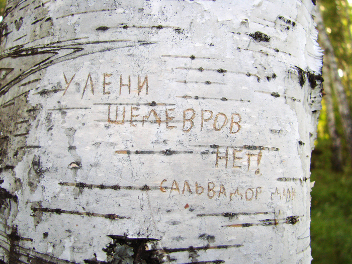1415502_Y_leni_shedevrov_net (700x525, 347Kb)