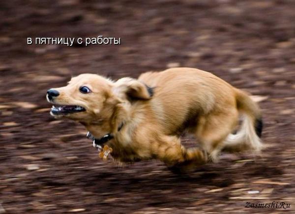 5680197_796Vpyatnitsusraboty (600x435, 37Kb)