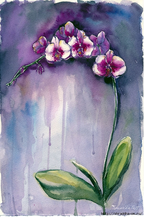 орхидея от Shraddha (463x700, 275Kb)