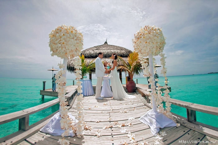 как организовать свадьбу, какие специалисты нужны для проведения свадьбы, ведущие на свадьбу в Екатеринбурге, /1438386869_maldives_wedding353 (700x467, 264Kb)