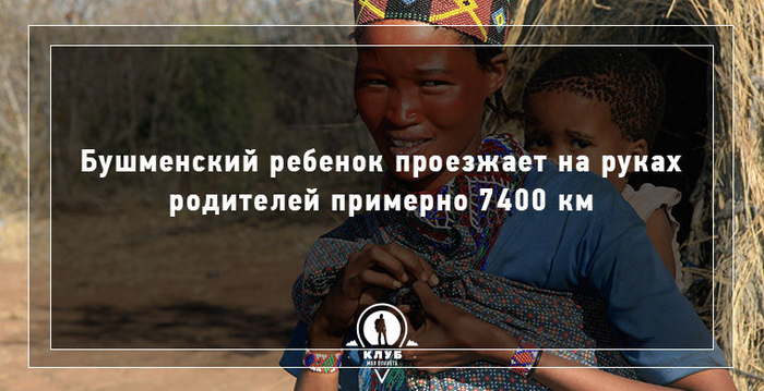 e9c8c43510d89c59b4068baa6250d3c1 (700x359, 306Kb)