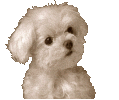 dogs-313 (119x100, 7Kb)
