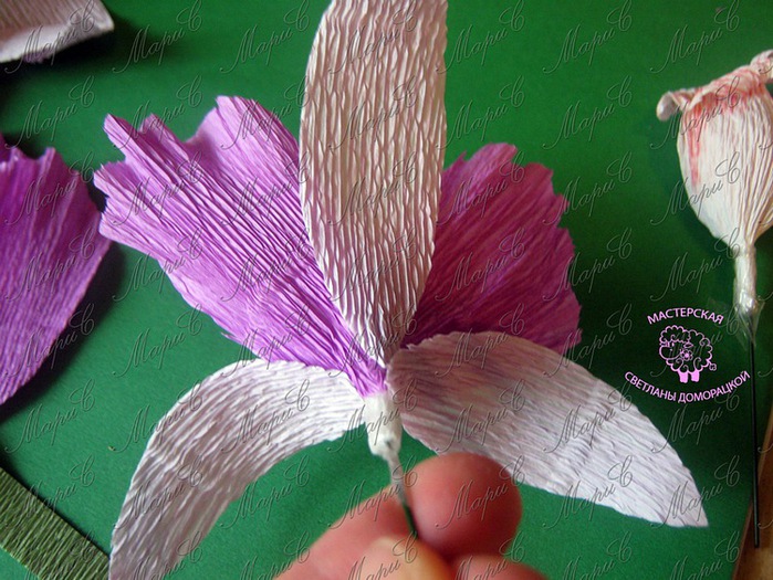 Как сделать орхидеи из бумаги и конфет.