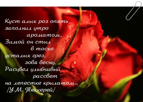 Почувствуй аромат (комплекты) Почувствуй аромат (комплекты)