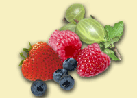 berries (200x143, 13Kb)