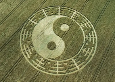 Yin Yang crop circle (400x285, 36Kb)