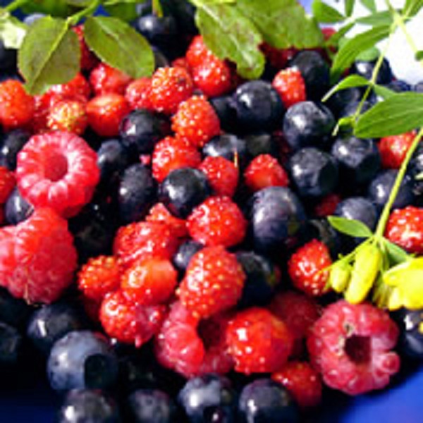 resizeDbImageMessaggio (600x600, 91Kb)