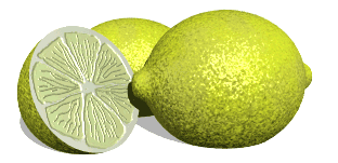 lemons_cut_ha (312x151, 78Kb)
