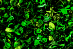  3 (700x466, 611Kb)