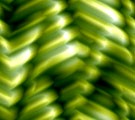  TileJ0068 (135x120, 6Kb)