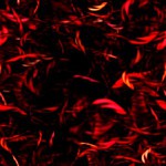  TileU0064 (300x300, 24Kb)