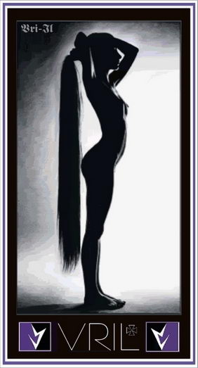3921373_Vril3 (282x523, 23Kb)