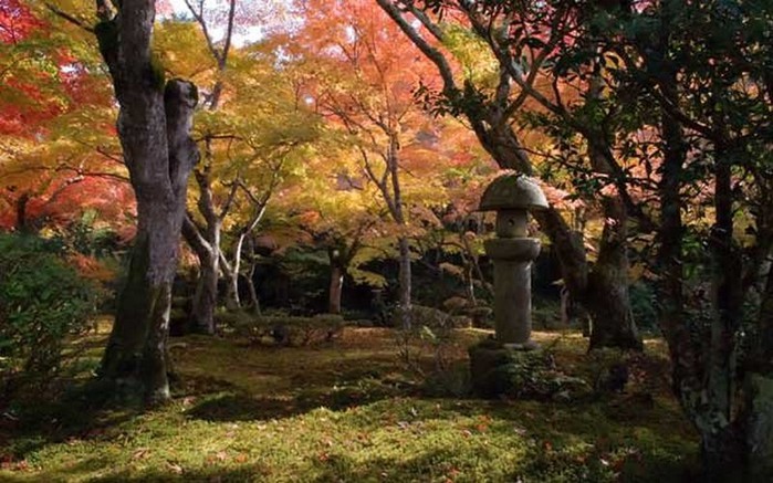 Японский сад фото 17 (700x437, 107Kb)