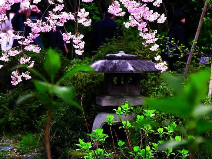 Японский сад фото 60 (700x525, 120Kb)