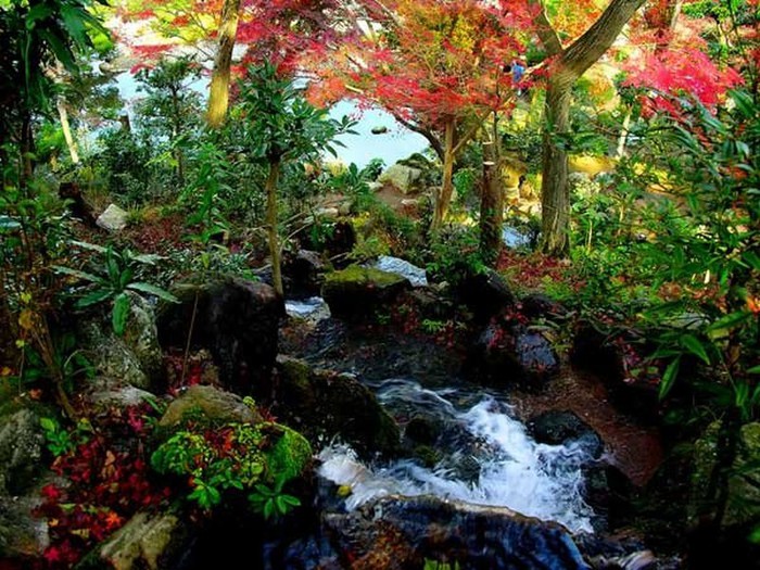 Японский сад фото 76 (700x525, 147Kb)