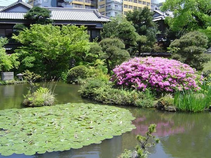 Японский сад фото 78 (700x525, 142Kb)