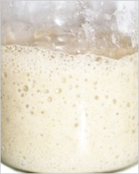20111101-bread_3 (200x250, 16Kb)