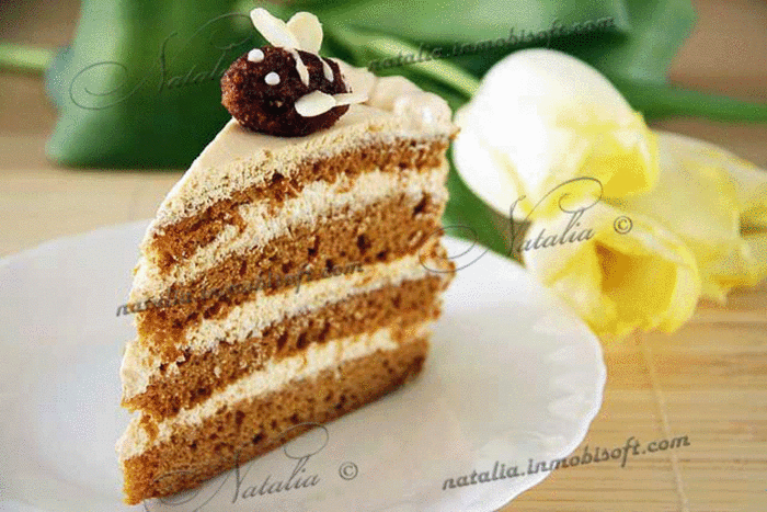 Торт медовик «Пчелка» | Рецепты с фото