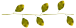  Blätter-02 (600x221, 39Kb)
