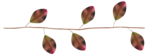  Blätter-03 (600x221, 48Kb)