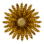  Blume-03 (500x500, 256Kb)