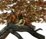  Forrest-Kiki-05 (700x597, 766Kb)