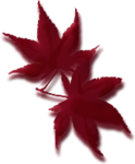  GoldenSeason_Element_16_Baerbel (149x180, 21Kb)