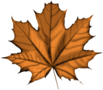 golden-season-itha-element04b (400x350, 121Kb)