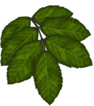  golden-season-itha-element04d (355x400, 147Kb)