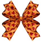  Schleife (450x450, 250Kb)