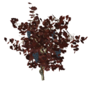  Vine-01 (700x597, 329Kb)