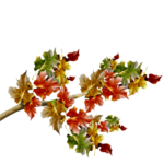 Zweig (600x600, 289Kb)
