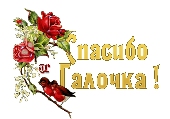 Открытки спасибо галочка Открытки спасибо галочка