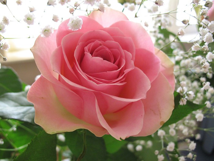 0_3c24f_7c78f0e6_XL (700x525, 79Kb)