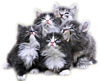 0_71520_3bdbe46b_XS (100x81, 18Kb)