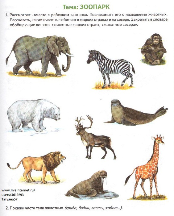 Животные Африки Фото С Названиями