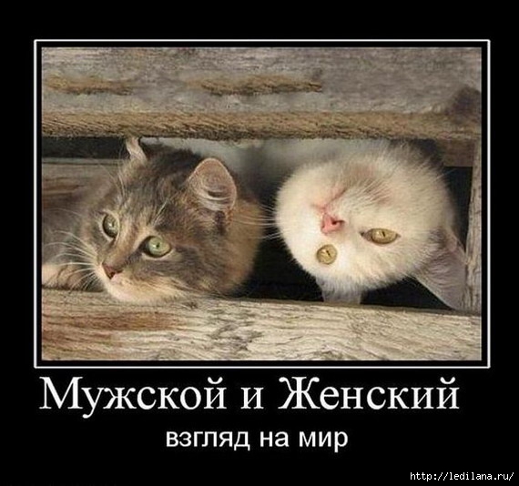 (570x534, 141Kb)