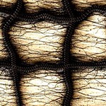  726703378_thumb[1] (220x220, 33Kb)