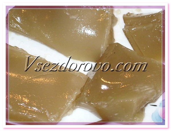 gelatin-shampoo-09 (601x461, 86Kb)