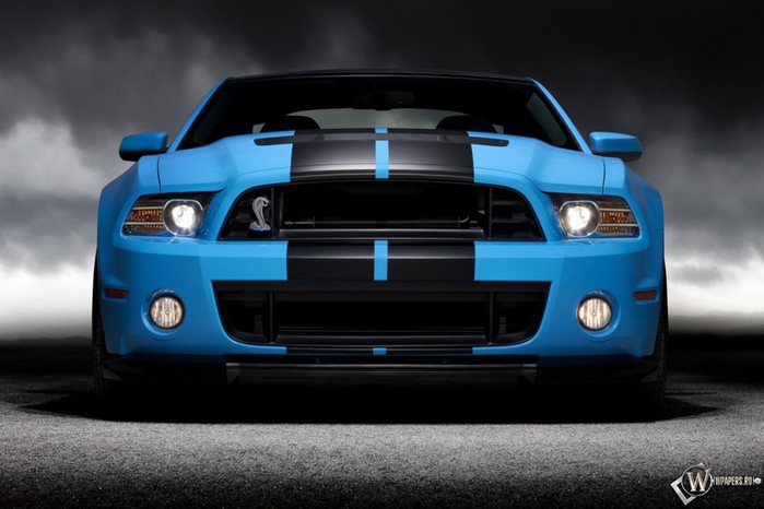 Shelby 1000 новая реинкарнация легендарной модели Ford Shelby gt500 Super Snake 2 (700x466, 65Kb)